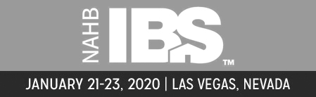 IBS Logo